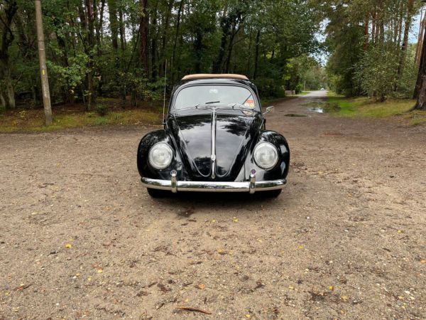 Volkswagen Maggiolino 1200 Standard "Ovali" 1954 98657