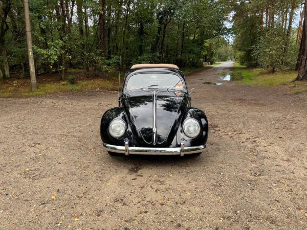 Volkswagen Maggiolino 1200 Standard "Ovali" 1954 98662