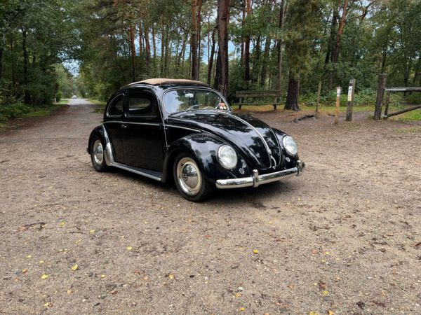 Volkswagen Maggiolino 1200 Standard "Ovali" 1954 98664