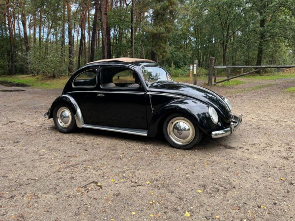 Volkswagen Maggiolino 1200 Standard "Ovali" 1954 98665