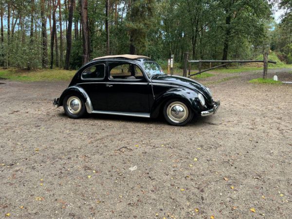 Volkswagen Maggiolino 1200 Standard "Ovali" 1954 98666