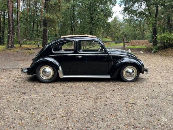 Volkswagen Maggiolino 1200 Standard "Ovali" 1954 98667