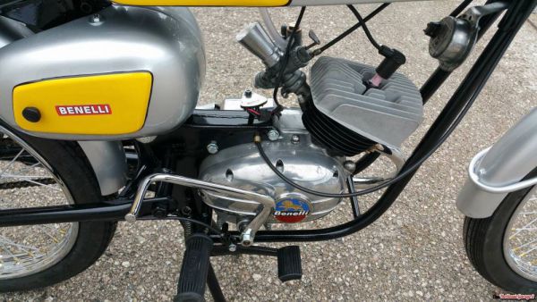 Benelli 50 Sport 1967 72525