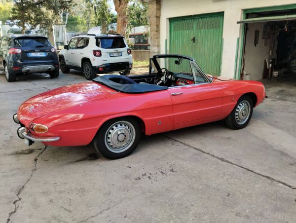 Alfa Romeo 1600 Spider Duetto 1966 100441