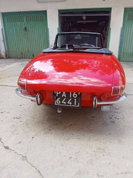 Alfa Romeo 1600 Spider Duetto 1966 100442