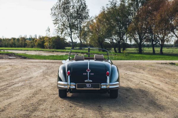 Jaguar XK 140 OTS 1956 3939