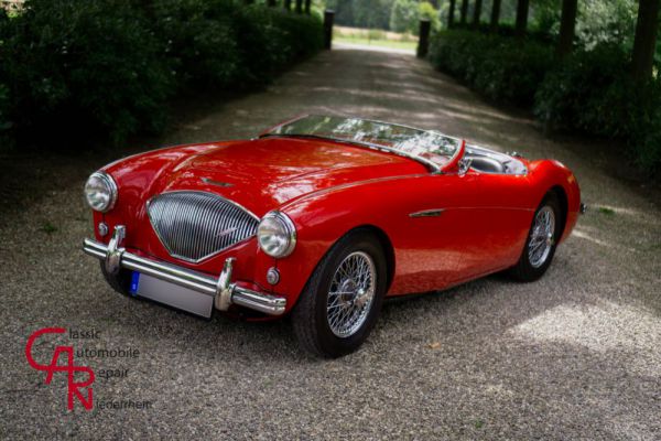 Austin-Healey 100/4 (BN2) 1956