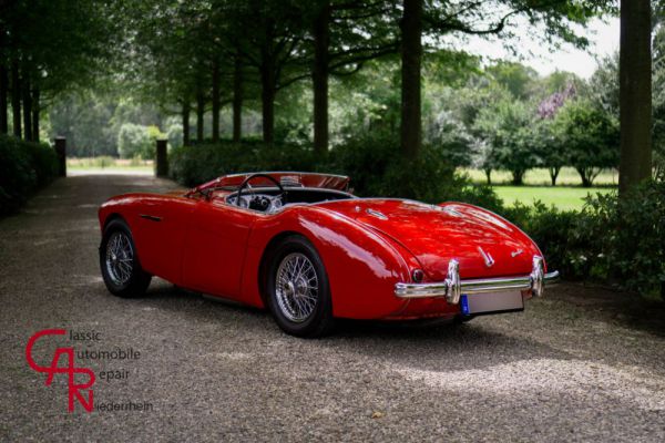 Austin-Healey 100/4 (BN2) 1956 40271