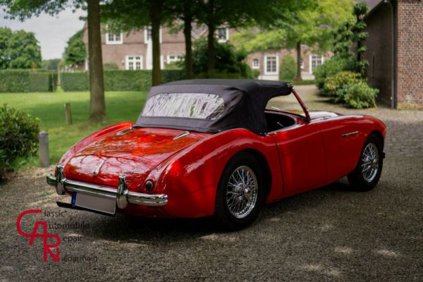 Austin-Healey 100/4 (BN2) 1956 40273