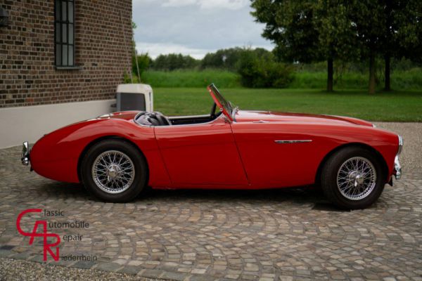 Austin-Healey 100/4 (BN2) 1956 40276