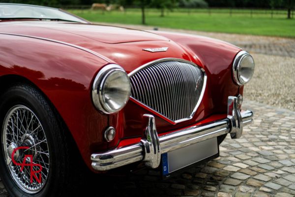 Austin-Healey 100/4 (BN2) 1956 40278