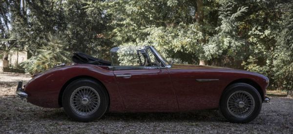 Austin-Healey 3000 Mk II (BJ7) 1963 40260