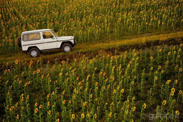 Mercedes-Benz 280 GE (SWB) 1980 17091