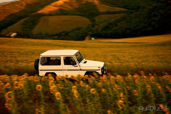 Mercedes-Benz 280 GE (SWB) 1980 17099