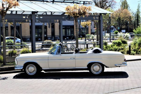 Mercedes-Benz 300 SE 1966 79167