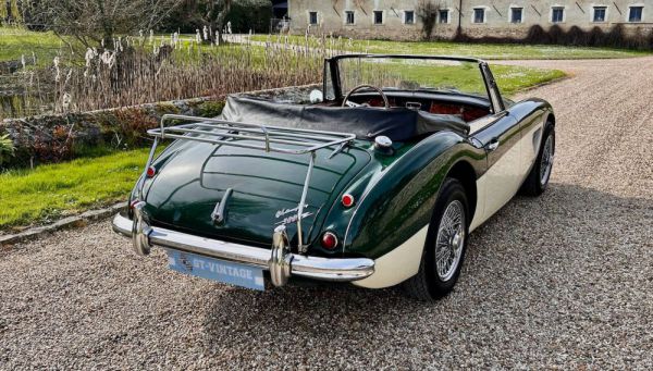 Austin-Healey 3000 Mk III (BJ8) 1964