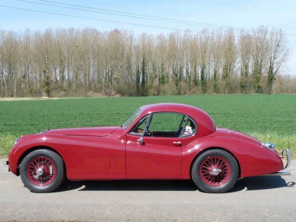 Jaguar XK 120 FHC 1952 31097