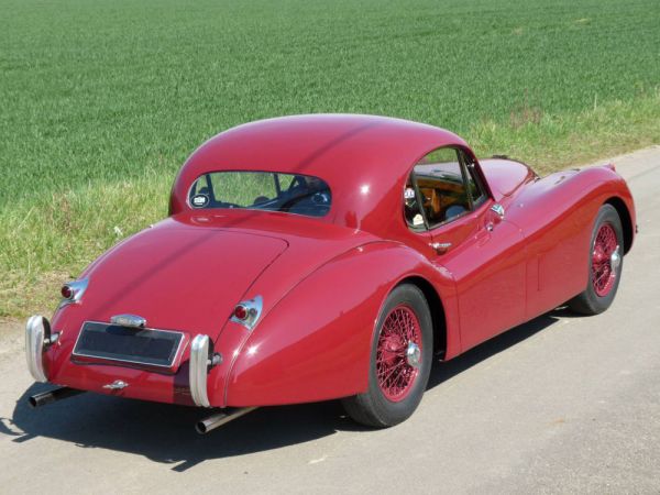 Jaguar XK 120 FHC 1952 31098