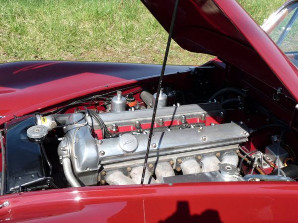 Jaguar XK 120 FHC 1952 31108