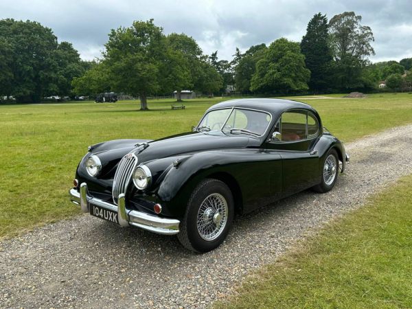 Jaguar XK 140 SE FHC 1955 11519