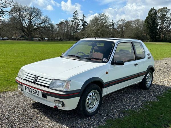 Peugeot 205 GTi 1.6 1989