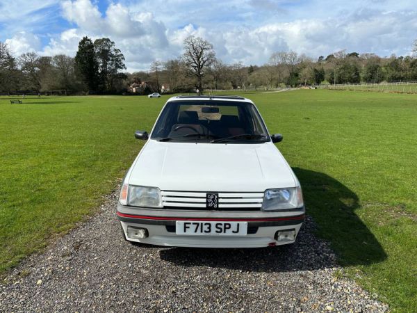 Peugeot 205 GTi 1.6 1989 11748