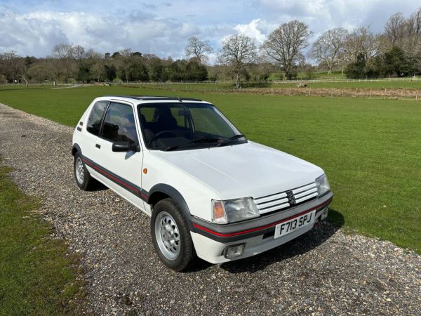 Peugeot 205 GTi 1.6 1989 11749