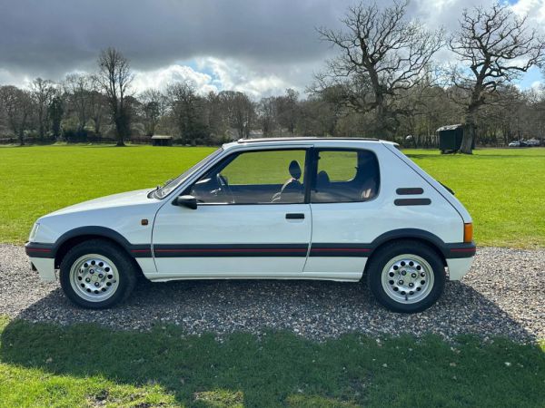 Peugeot 205 GTi 1.6 1989 11751