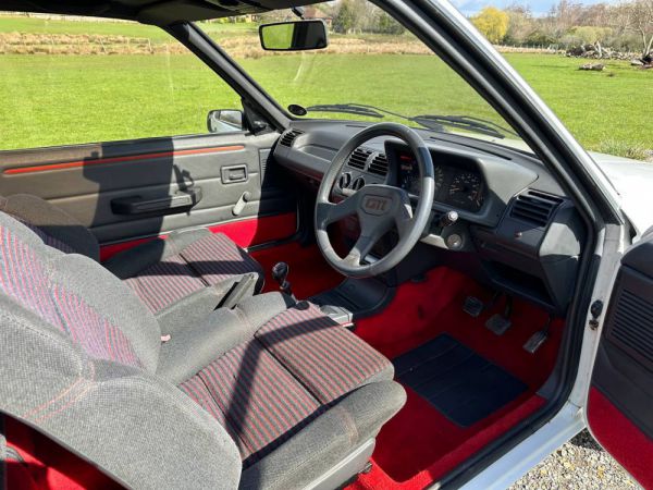 Peugeot 205 GTi 1.6 1989 11755