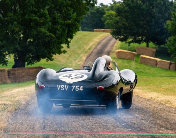 Jaguar D-Type 1955 15343