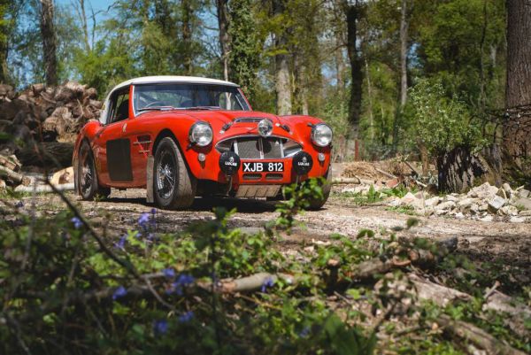 Austin-Healey 3000 Mk I (BT7) 1960 29767