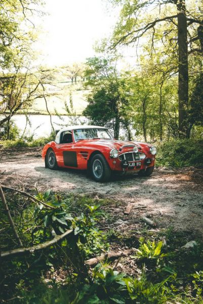 Austin-Healey 3000 Mk I (BT7) 1960 29770