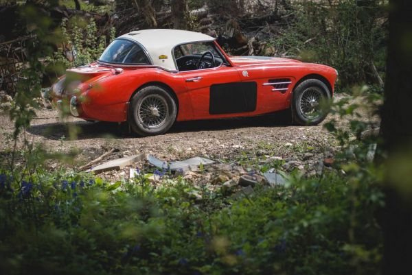 Austin-Healey 3000 Mk I (BT7) 1960 29774