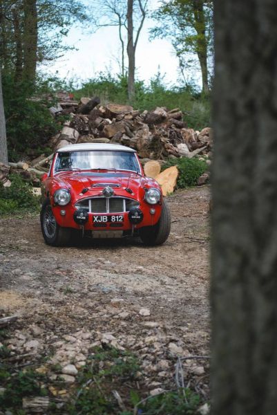 Austin-Healey 3000 Mk I (BT7) 1960 29776