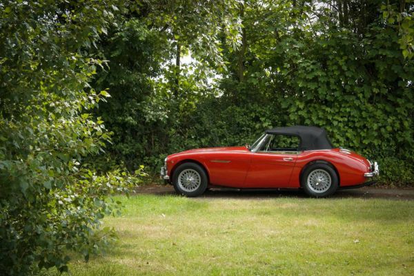 Austin-Healey 3000 Mk III (BJ8) 1965 29798