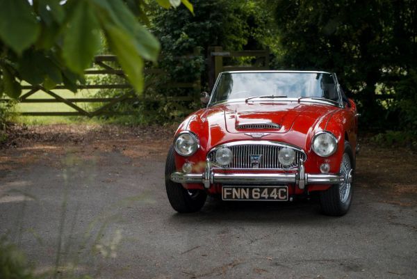 Austin-Healey 3000 Mk III (BJ8) 1965 29802