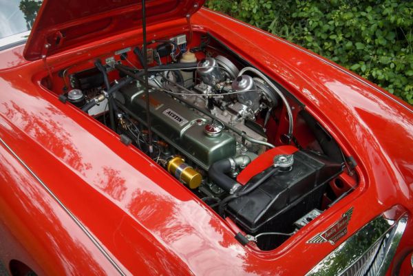 Austin-Healey 3000 Mk III (BJ8) 1965 29806