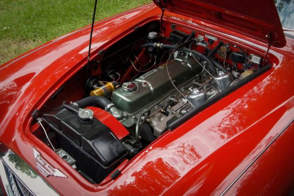 Austin-Healey 3000 Mk III (BJ8) 1965 29807