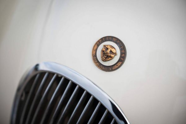 Jaguar XK 120 OTS 1952 11938