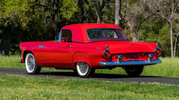 Ford Thunderbird 1955 104183