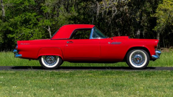 Ford Thunderbird 1955 104186